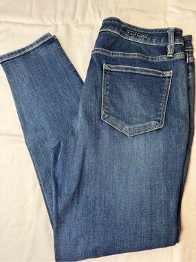 Vigoss Skinny Jeans in Medium Blue Wash